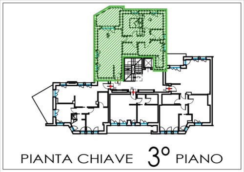 app-31-pianta